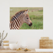 Poster Tête de bébé zèbre, Tanzanie (Cuisine)