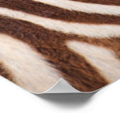 Poster Tête de bébé zébrée, Tanzanie (Coin)