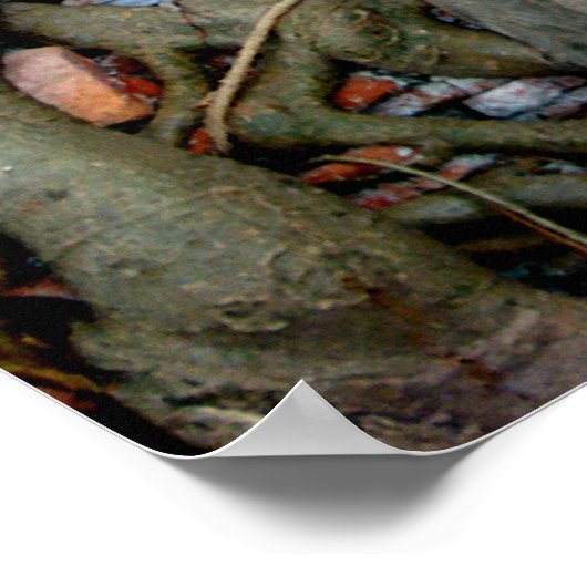 Poster Tête de bouddha (Coin)