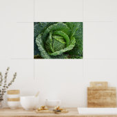 Poster Tête de choux bio frais (Cuisine)