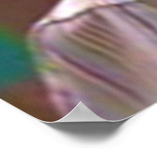 Poster Tête de coco (Coin)