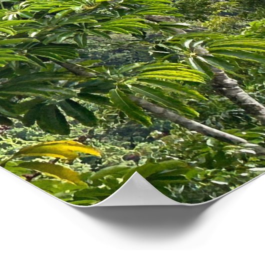 Poster Tête de diamant (Coin)