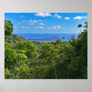 Poster Tête de diamant