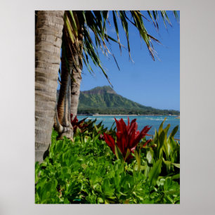 Poster Tête de diamant, Honolulu, Hawaï