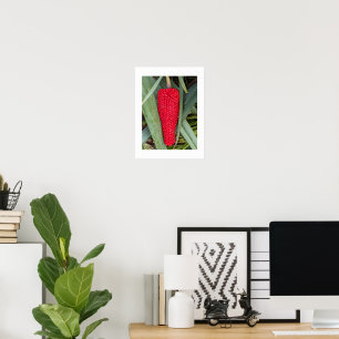 Poster Tête de graine rouge de lys dragon botanique