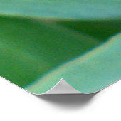 Poster Tête de graines de Clematis (Coin)