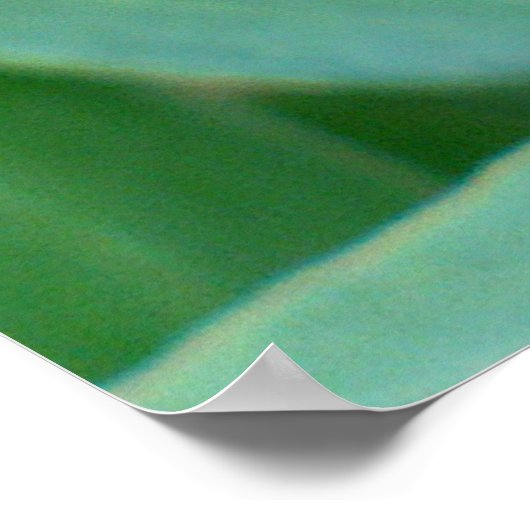 Poster Tête de graines de Clematis (Coin)