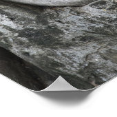 Poster Tête de grès de Bouddha entouré d'arbre (Coin)