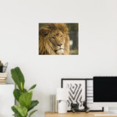 Poster Tête de lion (Bureau à domicile)