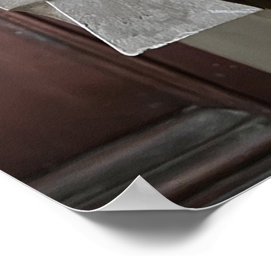 Poster Tête de lion (Coin)