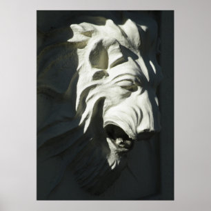 Poster Tête de lion