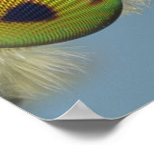 Poster Tête de mouche de cerf (Coin)