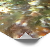 Poster Tête de plongeur de sable (Coin)