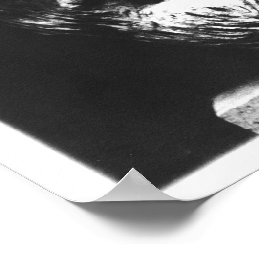 Poster Tête de Plotinus (Coin)