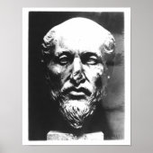 Poster Tête de Plotinus (Devant)