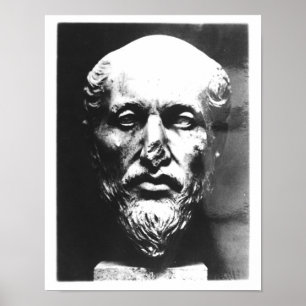Poster Tête de Plotinus