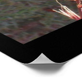 Poster - Tête de semence en herbe ornementale (Coin)