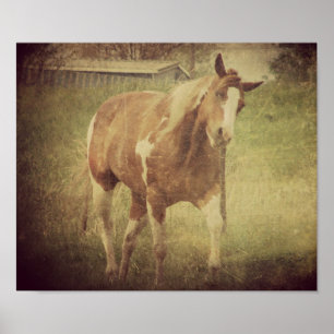 Poster Tête de Shakes clignotant