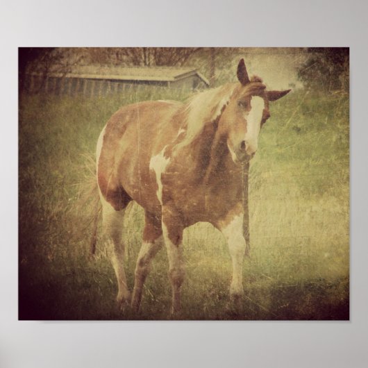 Poster Tête de Shakes clignotant (Devant)