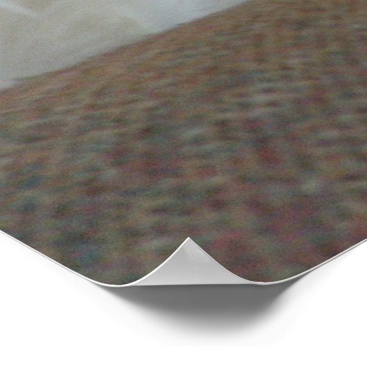 Poster Tête de sommeil (Coin)