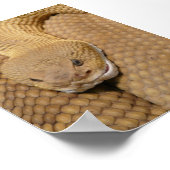 Poster Tête de sonnerie (Coin)