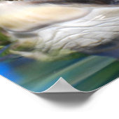 Poster Tête de tortue (Coin)