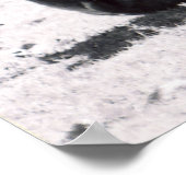 Poster Tête de zèbre - noir et blanc (Coin)