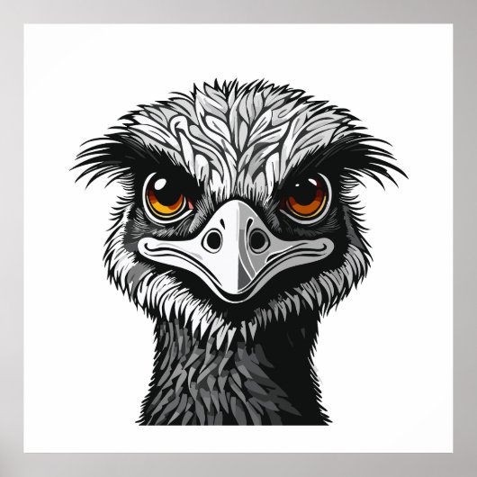 Poster Tête d'oiseau Émeu (Devant)