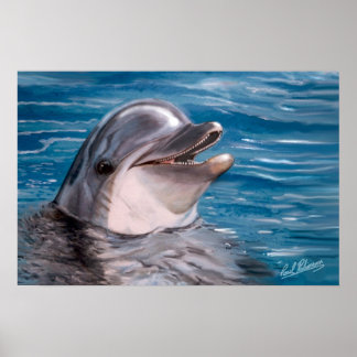 POSTER TÊTE DOLPHIN