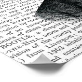 Poster Tête du Plante Aspidistra (Coin)