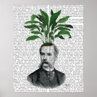 Tête du Plante Aspidistra