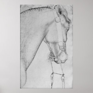 Poster Tête d'un cheval, de l'Album Vallardi