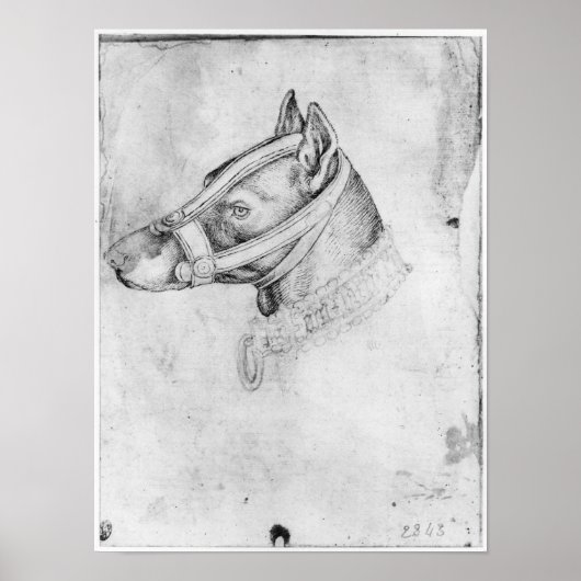 Poster Tête d'un chien muselé (Devant)