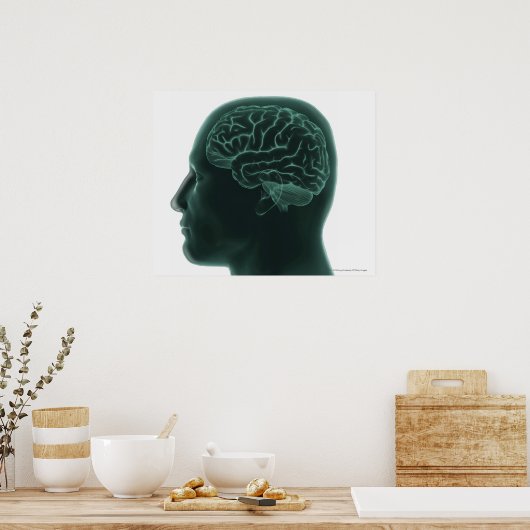 Poster Tête humaine en profil montrant le cerveau (Cuisine)