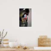 Poster Tête Mandrill (Cuisine)