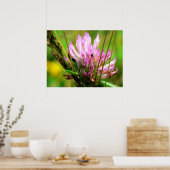 Poster Tête rouge (Cuisine)