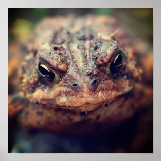 Poster Tête vers le haut (Devant)