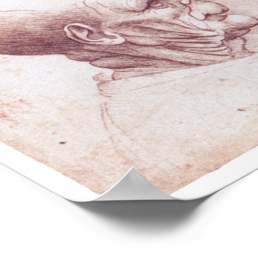 Poster Têtes grises, Léonard de Vinci (Coin)