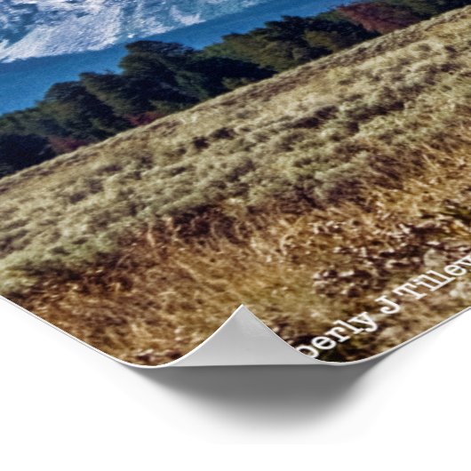 Poster Teton 6976 (Coin)