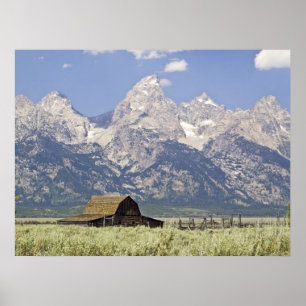 Poster Tetons et vieille copie de grange