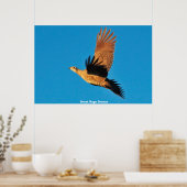 Poster Tétras sagebrush (Cuisine)