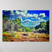 Poster Texas (Devant)