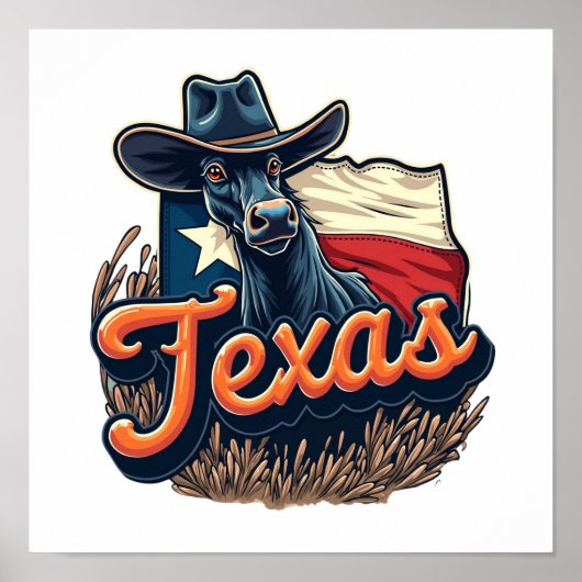 Poster Texas (Devant)