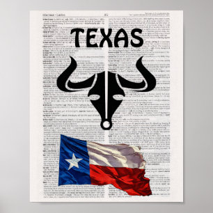 Poster TEXAS