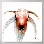 Poster Texas (Devant)