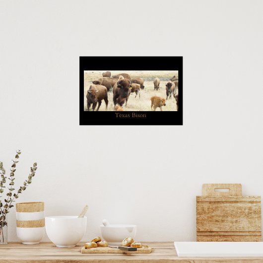 Poster Texas Bison (Cuisine)