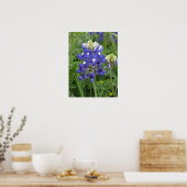 Poster Texas Bluebonnet (Cuisine)