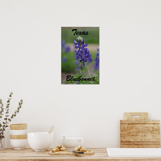 Poster Texas, Bluebonnet (Cuisine)