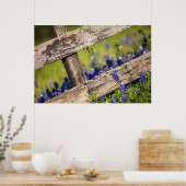 Poster Texas Bluebonnets Autour D'Une clôture De Campagne (Cuisine)