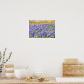 Poster Texas Bluebonnets, comté de Nacogdoches (Cuisine)